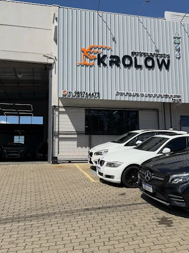 Trabalho Krolow 2